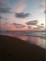 Avenirtel | voyant Wissam